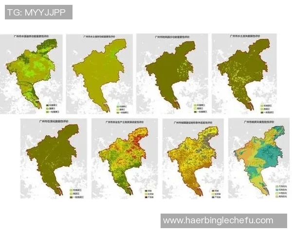 广州羽毛球队在全运会中的技术表现分析与点评探讨